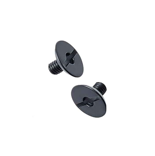 FOX V4 Visor Screws - 2 PACK